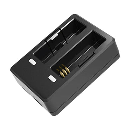 <tc>SJCAM A10 Dual battery charger</tc>